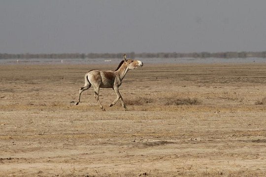 Tour image 1