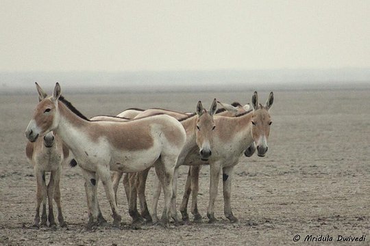Tour image 2