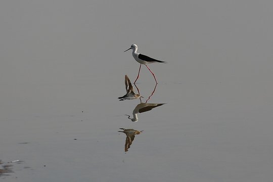 Tour image 5