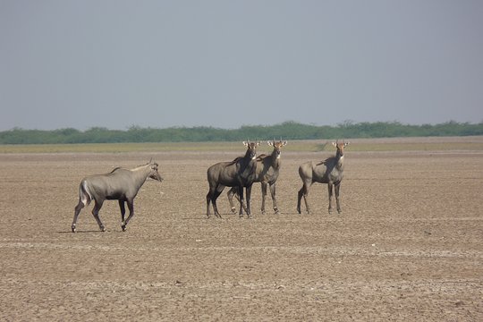 Tour image 6