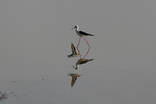 Tour image 7